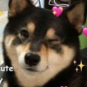 Meet your Posher, Drew